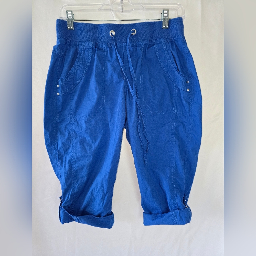 Christopher & Banks Vibrant Blue Petite Pants